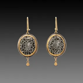 Bryozoan Fossil Earrings,Jewelry Delicate & Elegant