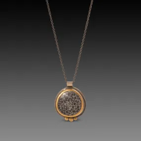 Bryozoan Fossil Necklace,Jewelry Delicate & Elegant